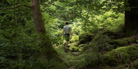 Natur
