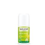 Citrus 24h Roll-On Deodorant